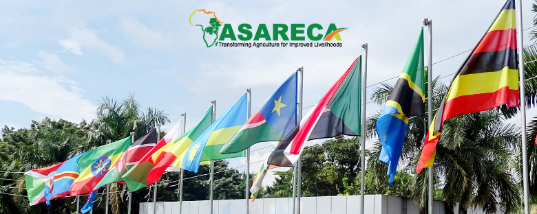 ASARECA is Updating Members and Partners Register