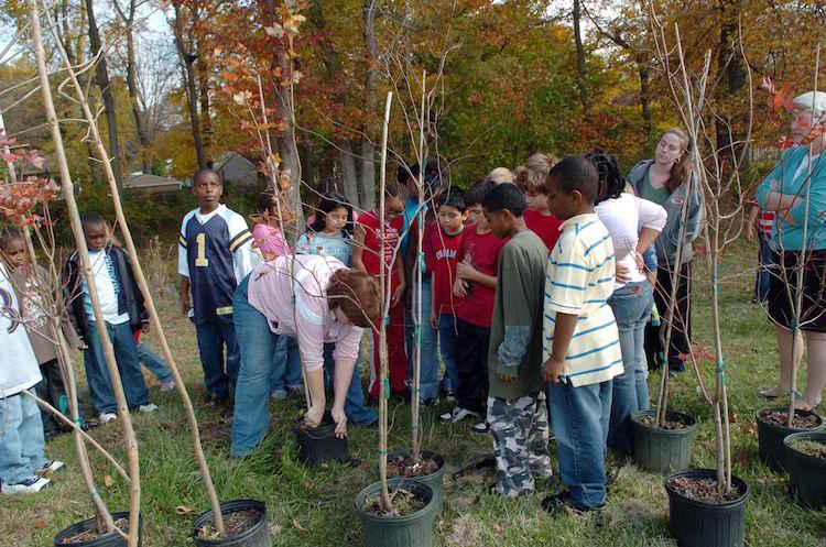 Kids planting trees
