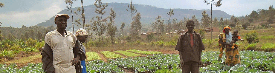 Burundi: embracing integration, sustainability and efficiency in agriculture